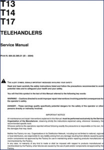 fiat powertrain technologies t13, t14, t17 2004 service, fiat powertrain technologies service manual, fiat powertrain technologies powertrain