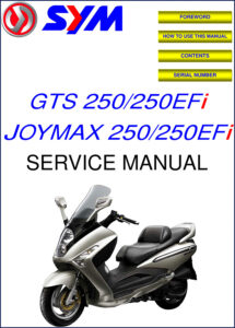 sym gts 250, gts 250efi, joymax 250, joymax, sym service manual, sym gts