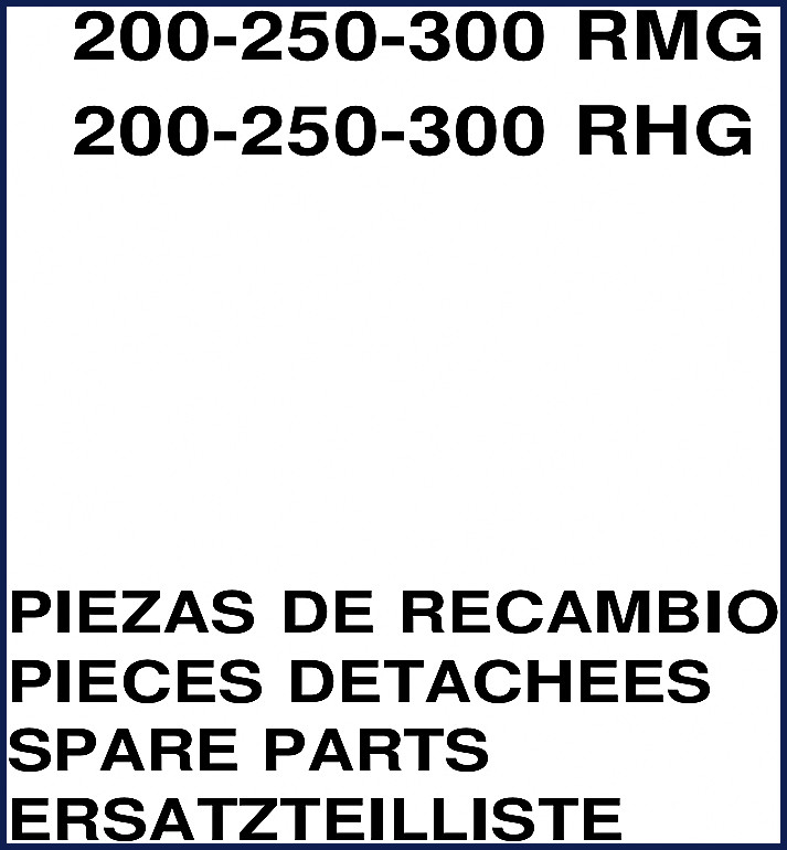 AUSA 200-250-300 RMG RHG Parts Catalog cover page showing multilingual spare parts list
