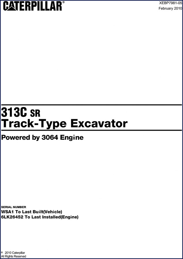 Caterpillar 313C SR 2010 Service Manual cover - factory OEM parts manual for track-type excavator