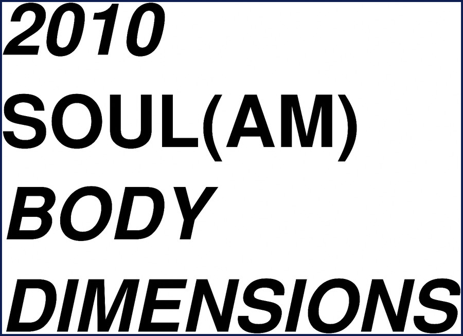 2010 Kia Soul repair manual cover – OEM factory body dimensions document