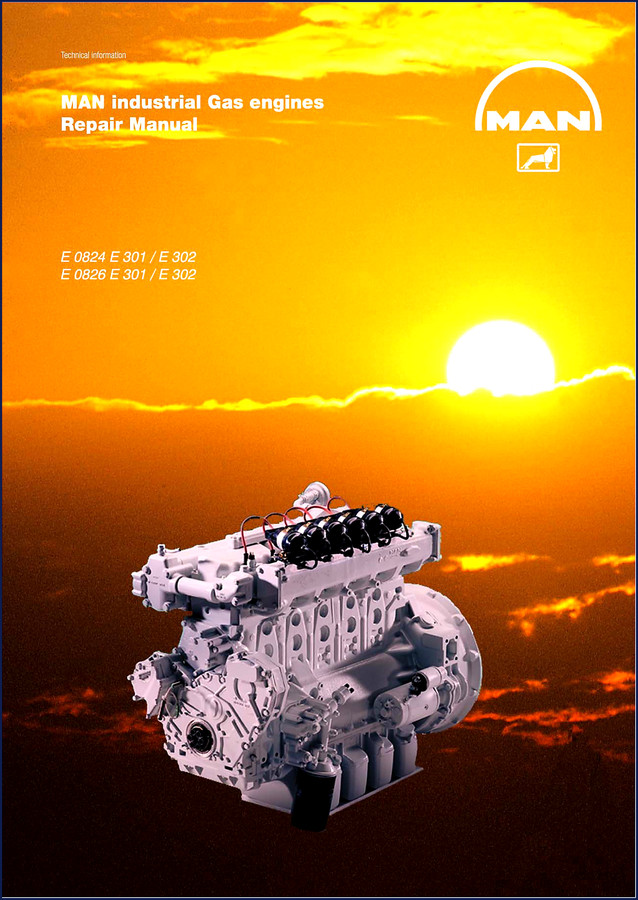 Ammann E 0824 E 301 service repair manual cover page showing engine views and OEM markings