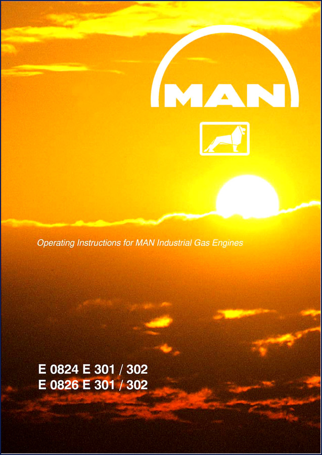 Ammann E 0824 E 0826 Operators Manual 48 pages factory document